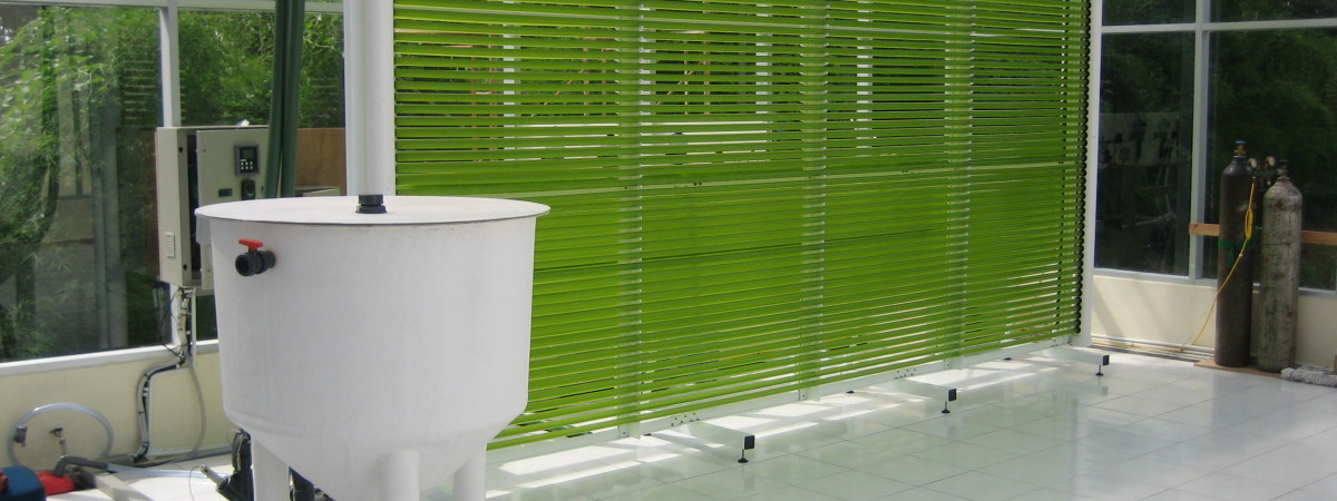Double photostage 800L photobioreactor (courtesy of Joe McDonald, Varicon Aqua Solutions)